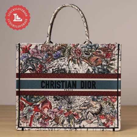 Dior Book Tote Bag