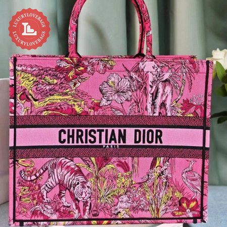 Dior Book Tote