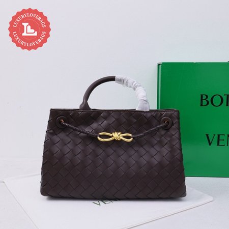 Bottega Veneta Small East/West Andiamo