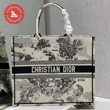 Dior Book Tote