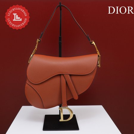 Dior Saddle M0446